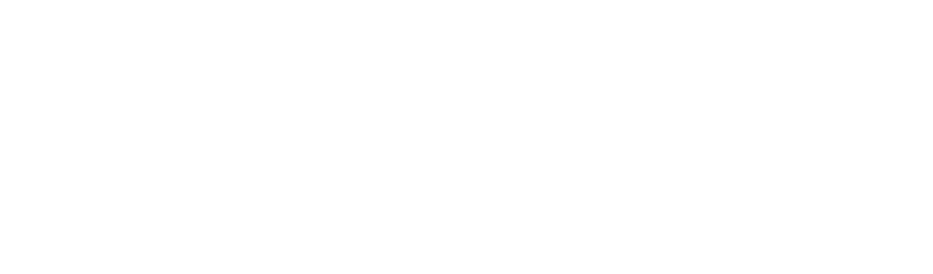 BaliBloom Logo White